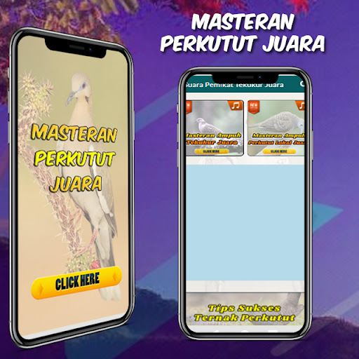 Android application Masteran Perkutut Juara screenshort