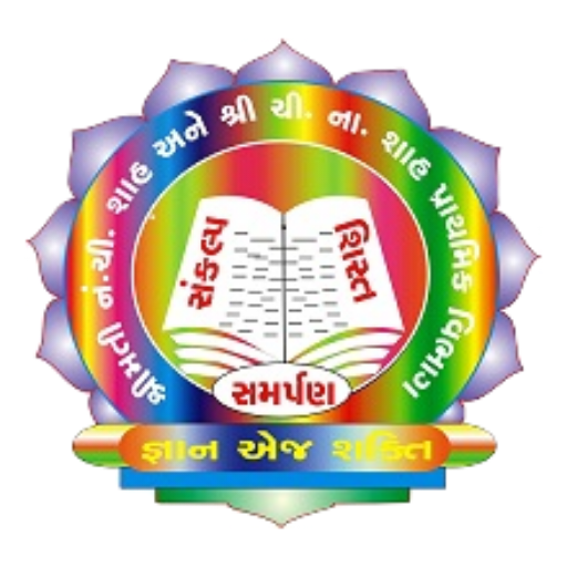 NCS & CNS PRI School Maroli logo