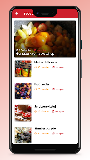 Danish Recipes - Food App Screen 3