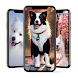 Puppy Wallpapers - Cute Puppy - Androidアプリ