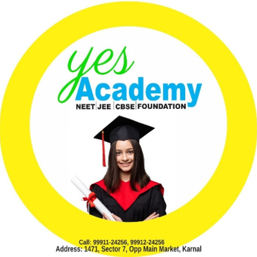YES ACADEMY logo