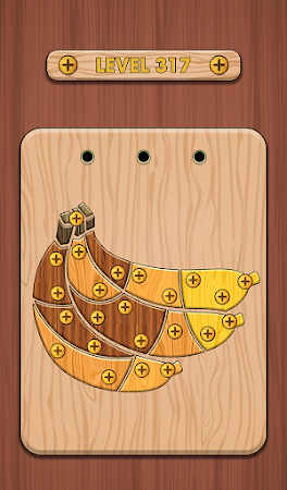 Game screenshot Nuts & Bolts 3D: Screw Master apk download