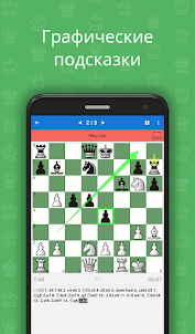 Шахматные дебюты (1400-2000)