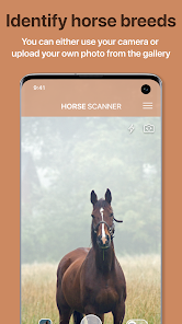 Horse Scanner v12.15.7-G [Premium]