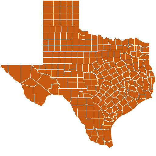 Texas Map Puzzle  Icon