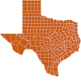 Texas Map Puzzle icon