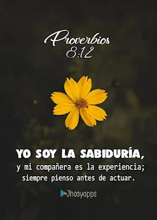 Proverbios Bíblicos y Libro