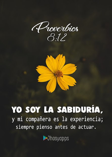 Captura de Pantalla 10 Proverbios Bíblicos y Libro android
