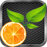 Citrus Bouncer! icon