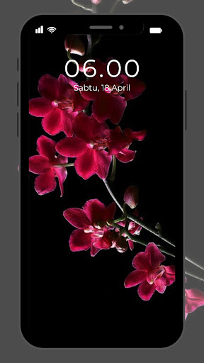Wallpaper Bunga Anggrek Screen 3