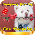 Cover Image of Descargar Imagenes Bonitas con Mensajes 4.3 APK