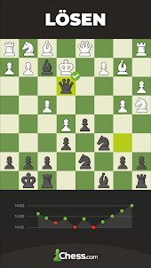 Schach - Spielen und Lernen