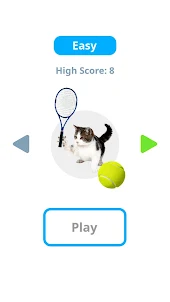 Cat Tennis Master
