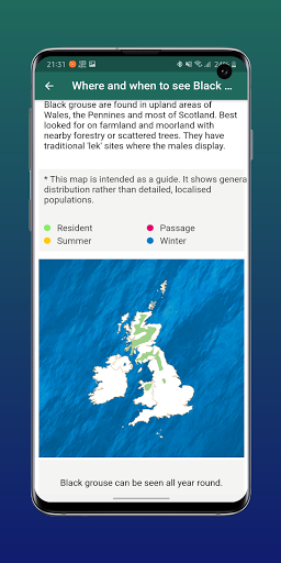 Id Bird - British Birds Identification