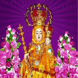 Tamil Mary Matha Padalgal icon