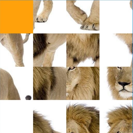 Wild Animal Puzzle Download on Windows