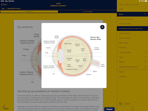 Screenshot 11