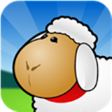 Sheep At Stake icon