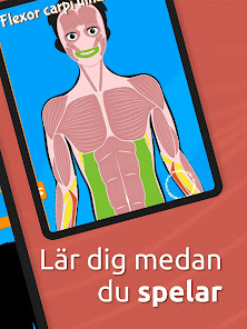 Skärmdumpsbild