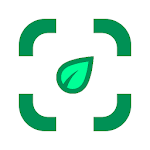 Cover Image of Download Plant identifier from photo  APK