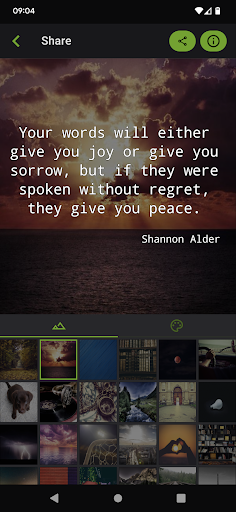 Quotes - Customize & Share Screen 3