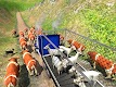 screenshot of Farm Animal Truck Driver Game