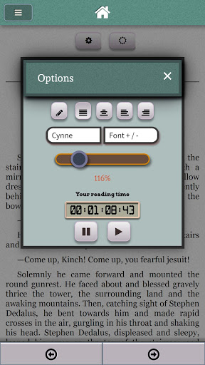 Ulysses James Joyce Screen 2