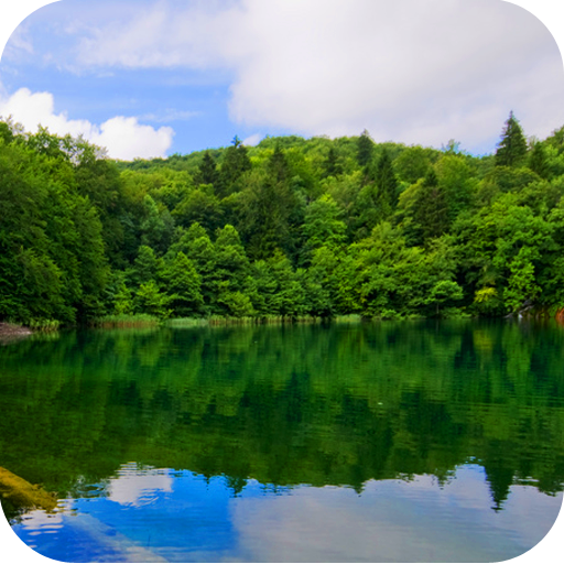 Forest Lake Live Wallpaper Latest Icon