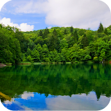 Forest Lake Live Wallpaper icon