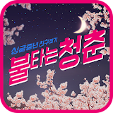 불타는청춘 - 싱글중년 친구찾기 소개팅 icon