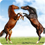 Horse Puzzle Jigsaw for Kids icon