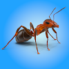 Ant Wars icon