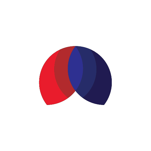 Installation Report logo