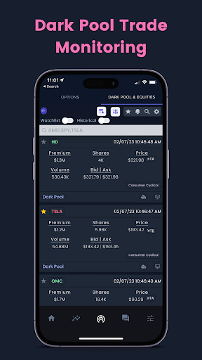 WhaleStream Option Flow Screen 2