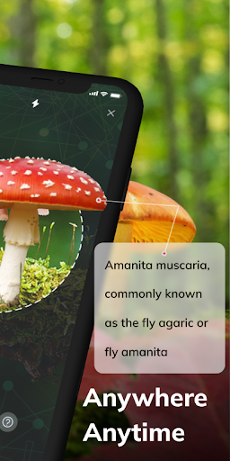 MushroomAI: Fungi ID & Guide 2