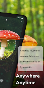 MushroomAI: Fungi ID & Guide