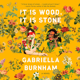 Icon image It Is Wood, It Is Stone: A Novel