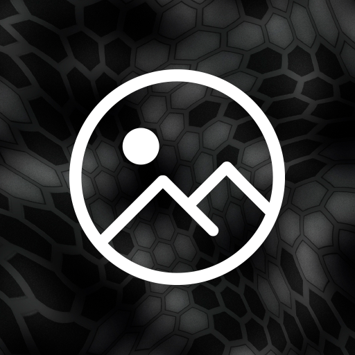 Hexa Camo Wallpaper 1.0 Icon