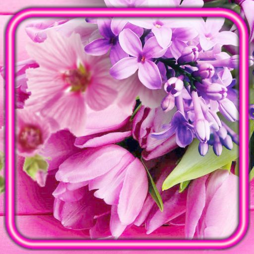 Spring Flowers Download on Windows