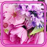 Cover Image of Download Spring Flowers  APK