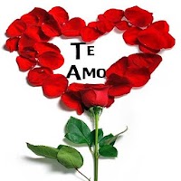 Rosas de Amor con Frases Romanticas