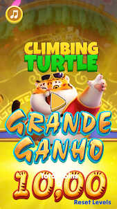 Fortune Climbing Turtle