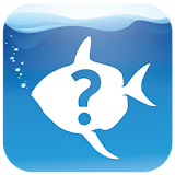 What Fish UK icon