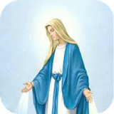 Virgen Maria de la Suerte icon
