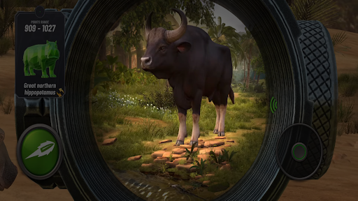 Hunting Clash Animals Hunting