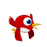Crazy Bird