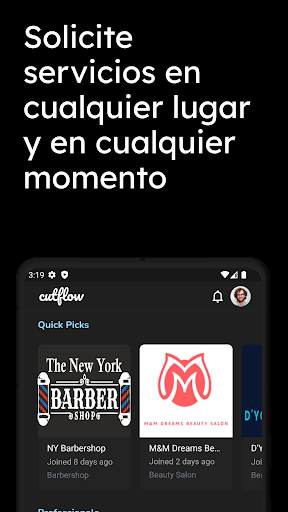 Vista previa de la aplicación