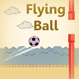 Flying Ball icon