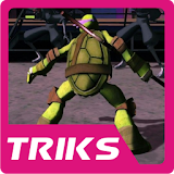 Cheats Ninja Turtles : Legends icon