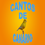 Cantos de Canário icon